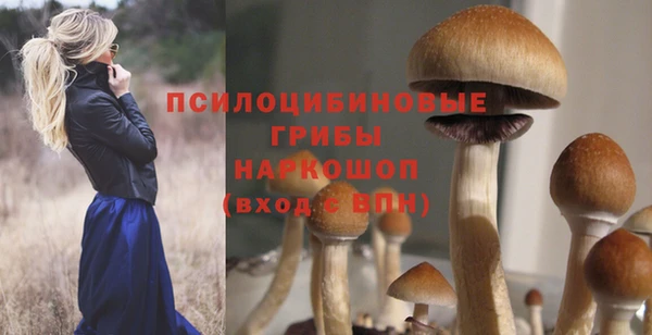 COCAINE Медногорск