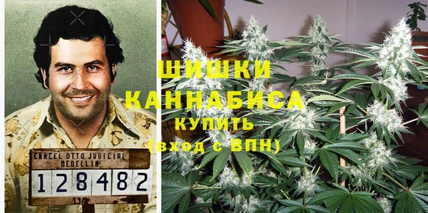 стаф Фёдоровский