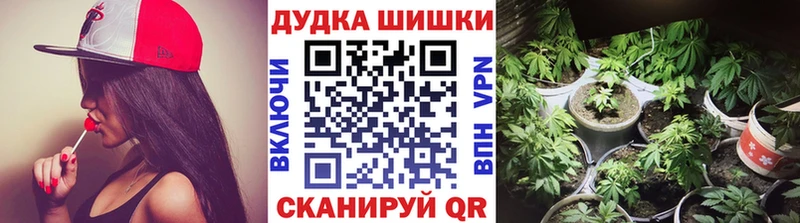 Шишки марихуана планчик  продажа наркотиков  Яранск 